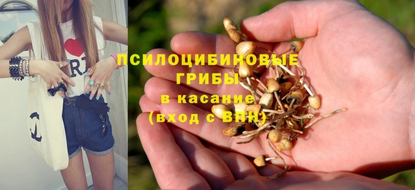 прущие крисы Белокуриха
