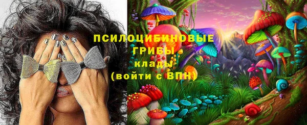 мяу мяу кристалл Богданович