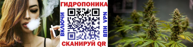 Конопля SATIVA & INDICA  Кинель 